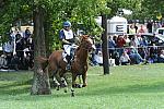 WEG2-10-2-10-EV-XX-5870-Woodburn-PhillipDutton-DDeRosaPhoto.jpg