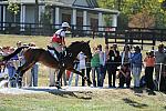 WEG2-10-2-10-EV-XX-4468-RiddleMaster-RebeccaHoward-DDeRosaPhoto.jpg