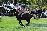 WEG2-10-2-10-EV-XX-5266-PortAuthority-StephanieRhodes-Bosch-DDeRosaPhoto.jpg