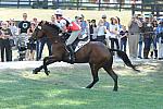 WEG2-10-2-10-EV-XX-5271-PortAuthority-StephanieRhodes-Bosch-DDeRosaPhoto.jpg