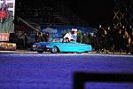 WEG1-9-25-10-DSC_2650-DDeRosaPhoto.JPG