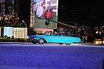 WEG1-9-25-10-DSC_2651-DDeRosaPhoto.JPG