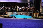 WEG1-9-25-10-DSC_2655-DDeRosaPhoto.JPG