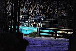 WEG1-9-25-10-DSC_2673-DDeRosaPhoto.JPG