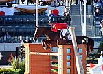 WEG3-10-8-10-SJ-Ind-8154-McLainWard-Sapphire-DDeRosaPhoto.jpg