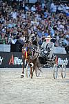 WEG1-9-25-10-DSC_2435-DDeRosaPhoto.JPG