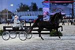 WEG1-9-25-10-Opening-WEG_1506-DDeRosaPhoto.JPG
