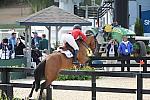 WEG2-10-4-10-SJ-8184-LaurenHough-QuickStudy-DDeRosaPhoto.jpg