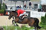 WEG2-10-4-10-SJ-7993-RadovanSillo-BulgarieVanDeLindehoeve-DDeRosaPhoto.JPG