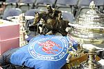 WIHS2-2010-WEG_0670-DDeRosaPhoto.JPG