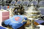 WIHS2-2010-WEG_0671-DDeRosaPhoto.JPG