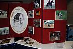 WIHS4-10-31-10-DSC_8924-DDeRosaPhoto.JPG