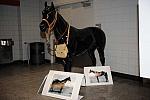 WIHS4-10-31-10-DSC_8929-DDeRosaPhoto.JPG