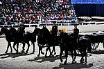 WIHS2-10-30-10-8516-DDeRosaPhoto.JPG