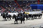 WIHS2-10-30-10-8517-DDeRosaPhoto.JPG