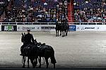 WIHS2-10-30-10-8518-DDeRosaPhoto.JPG