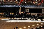 WIHS2-10-30-10-8540-DDeRosaPhoto.JPG