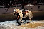 WIHS2-10-30-10-8568-DDeRosaPhoto.JPG