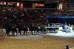 WIHS2-10-30-10-8578-DDeRosaPhoto.JPG