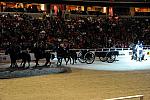 WIHS2-10-30-10-8581-DDeRosaPhoto.JPG