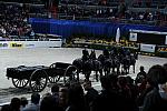 WIHS2-10-30-10-8585-DDeRosaPhoto.JPG