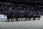 WIHS2-10-30-10-8586-DDeRosaPhoto.JPG