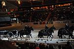 WIHS3-10-30-10-DSC_8317-DDeRosaPhoto.JPG