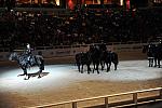 WIHS3-10-30-10-DSC_8330-DDeRosaPhoto.JPG