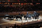 WIHS3-10-30-10-DSC_8341-DDeRosaPhoto.JPG