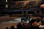 WIHS3-10-30-10-DSC_8348-DDeRosaPhoto.JPG