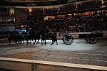 WIHS3-10-30-10-DSC_8354-DDeRosaPhoto.JPG