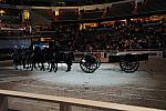 WIHS3-10-30-10-DSC_8355-DDeRosaPhoto.JPG