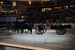 WIHS3-10-30-10-DSC_8356-DDeRosaPhoto.JPG
