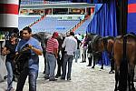 WIHS1-10-26-10- 7370-DDeRosaPhoto.JPG