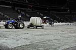 WIHS2-10-29-10-5099-DDeRosaPhoto.JPG
