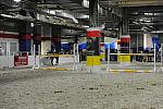 WIHS2-2010-WEG_0662-DDeRosaPhoto.JPG