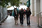 WIHS2-2010-WEG_0631-DDeRosaPhoto.JPG