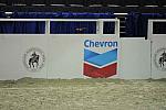 WIHS3-10-31-10-9583-DDeRosaPhoto.JPG