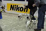 WIHS2-10-28-10-4640-DDeRosaPhoto.JPG