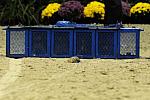 WIHS2-10-30-10-8592-DDeRosaPhoto.JPG