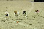 WIHS2-10-30-10-8595-DDeRosaPhoto.JPG