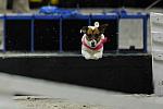 WIHS2-10-30-10-8610-DDeRosaPhoto.JPG