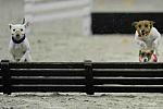 WIHS2-10-30-10-8612-DDeRosaPhoto.JPG