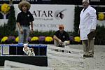 WIHS2-10-30-10-8623-DDeRosaPhoto.JPG