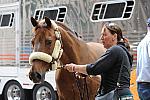 WIHS-10-25-10-Setup-0438-DDeRosaPhoto.jpg