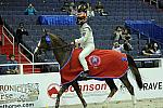 WIHS2-10-28-10-5058-DDeRosaPhoto.jpg