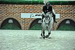 WIHS2-10-29-10-Puissance-6692-G-CBlancheeZ-PabloBarrios-DDeRosaPhoto.jpg