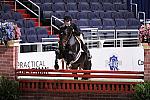 WIHS2-10-27-10-Cl24-1stYrGrHtrStke-0252-SanRemo-AmandaSteege-DDeRosaPhoto.jpg