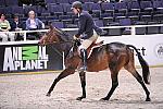 WIHS2-10-27-10-Cl24-1stYrGrHtrStke-0265-VictoryRoad-ArchieCox-DDeRosaPhoto.jpg