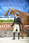 WIHS2-10-27-10-Cl24-1stYrGrHtrStke-0288-SailorsValentine-LouiseSerio-DDeRosaPhoto.jpg